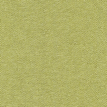 camira-era-cse34.jpg